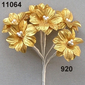 Brocade-starflower