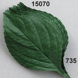 Hydrangea-leaf