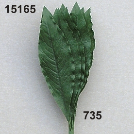 Laurel-leaf small