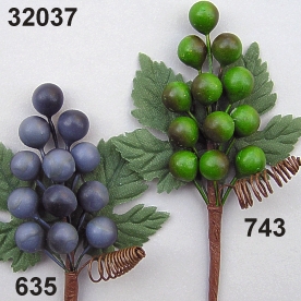 Grapes-Pick x12